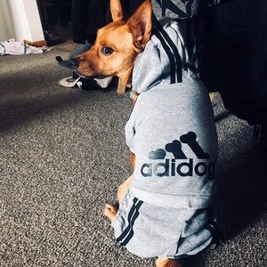 COPY - Adidas ‘adidog’ pet clothes 🐾